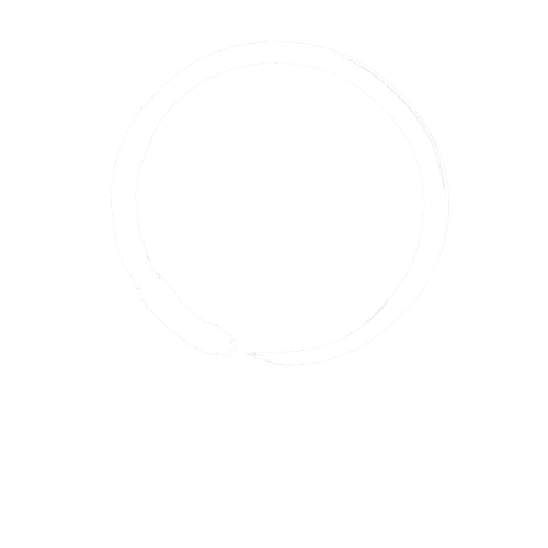 Aula Virtual Moodle | Instituto Hikari